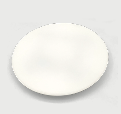 LED Ceiling Light FF