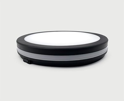 LED Ceiling Light BB IP65