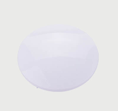 LED Ceiling Light